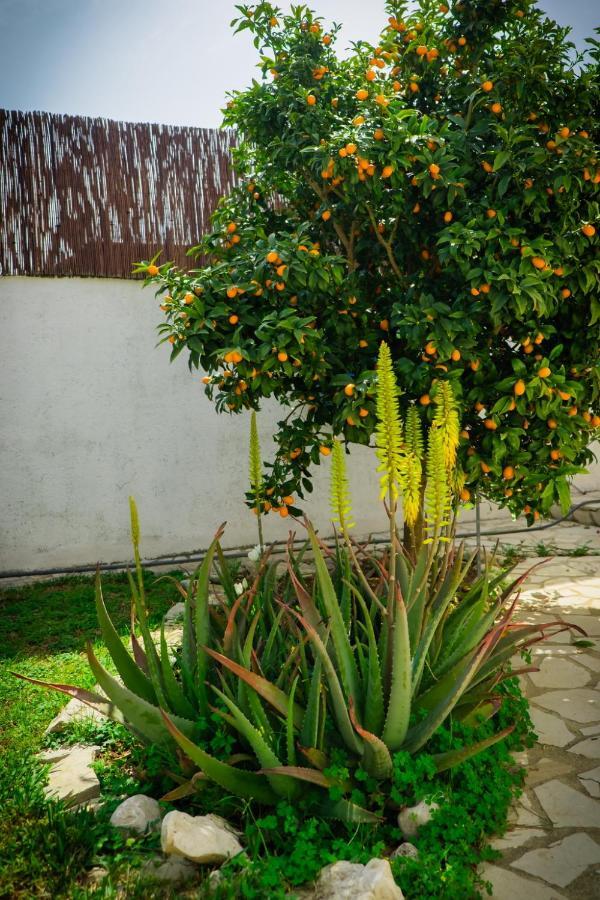 La Casita De Invitados Denia Exteriör bild
